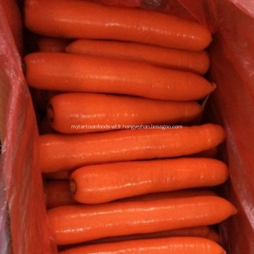 Fournir directement à l&#39;usine des carottes fraîches